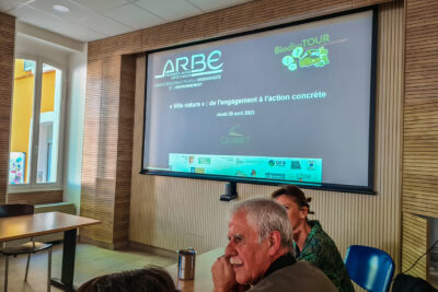 Agrandir l'image 3 sur 13, fenêtre modale