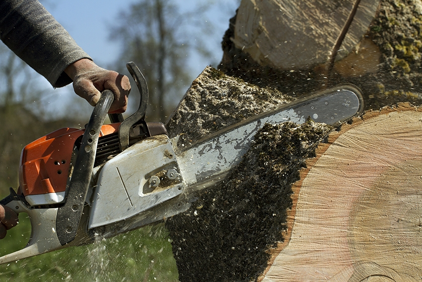 une tondeuse est tenue par une main qui coupe un tronc d'arbre
