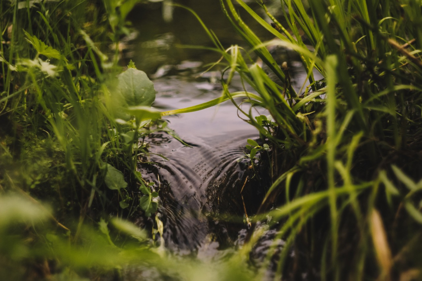 Ciné conférence &quot;L&#039;eau, un enjeu mondial&quot;